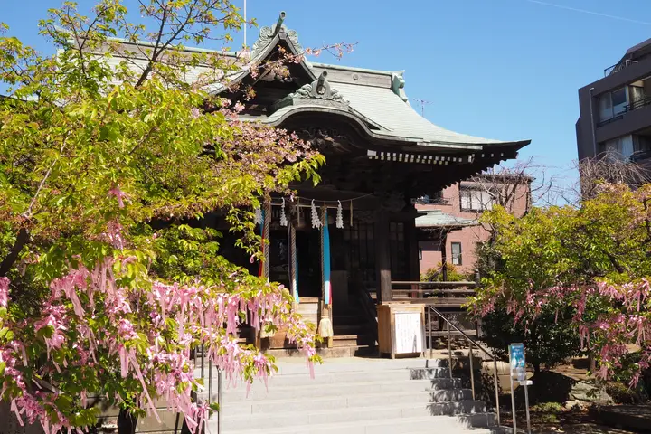 Tōkyō (March) preview image