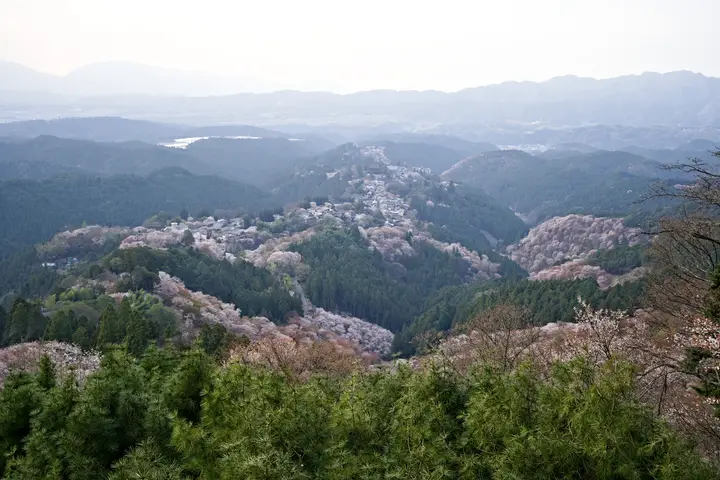 Yoshino, Kyōto, Ōgaki preview image